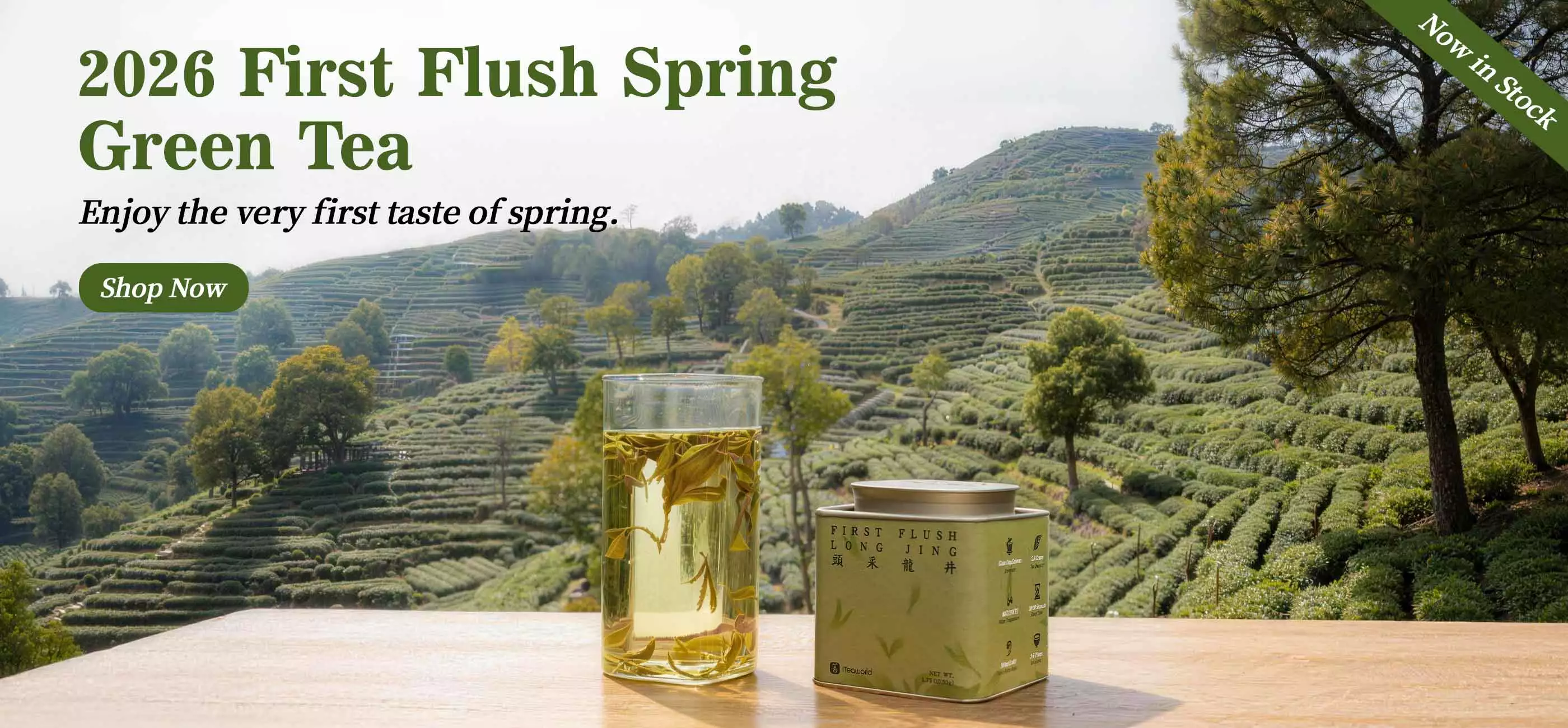 Discover Authentic Chinese Tea Culture